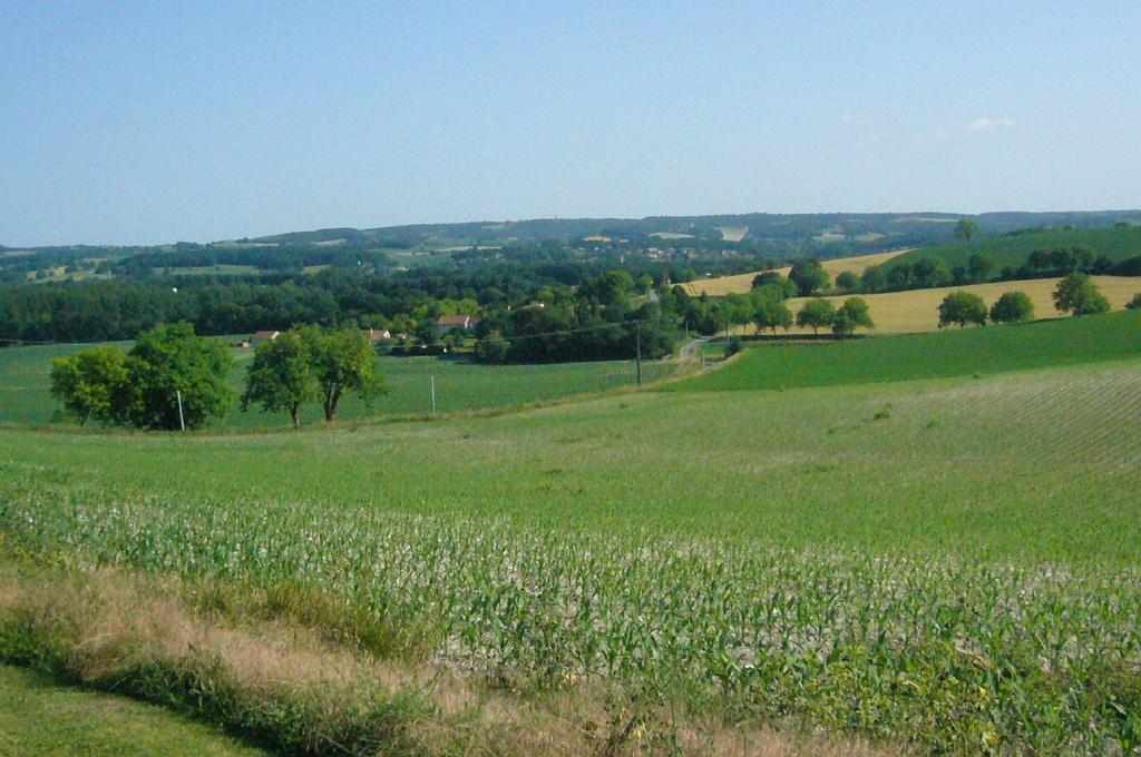 Les Gites De La Treille Montagrier Exteriör bild